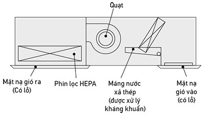 Sợi kháng khuẩn được sử dụng trong phin lọc gió vào